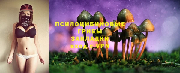 МДПВ Абдулино