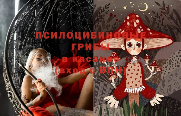 МДПВ Абдулино