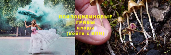 дмт Абинск