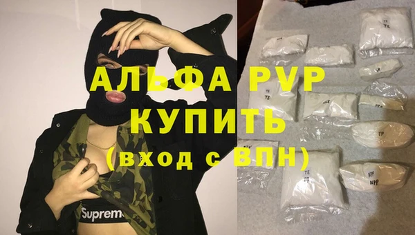 винт Абаза
