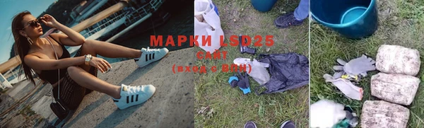 винт Абаза