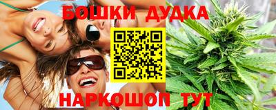 индика Гусь-Хрустальный