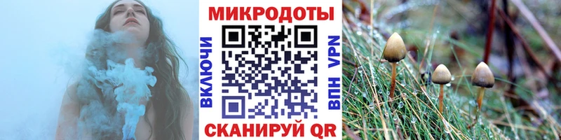 ссылка на мегу ТОР  Новочебоксарск  Галлюциногенные грибы Psilocybine cubensis 