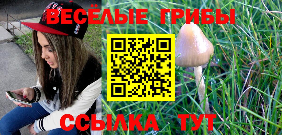 Псилоцибиновые грибы Psilocybine cubensis  Вход с VPN  Новочебоксарск 